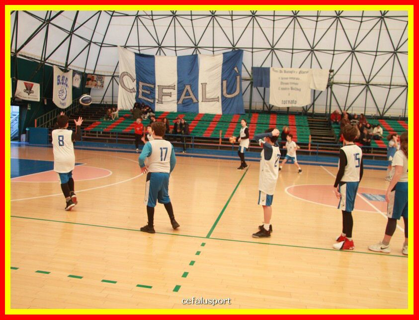 190209 basket 006_tn.jpg